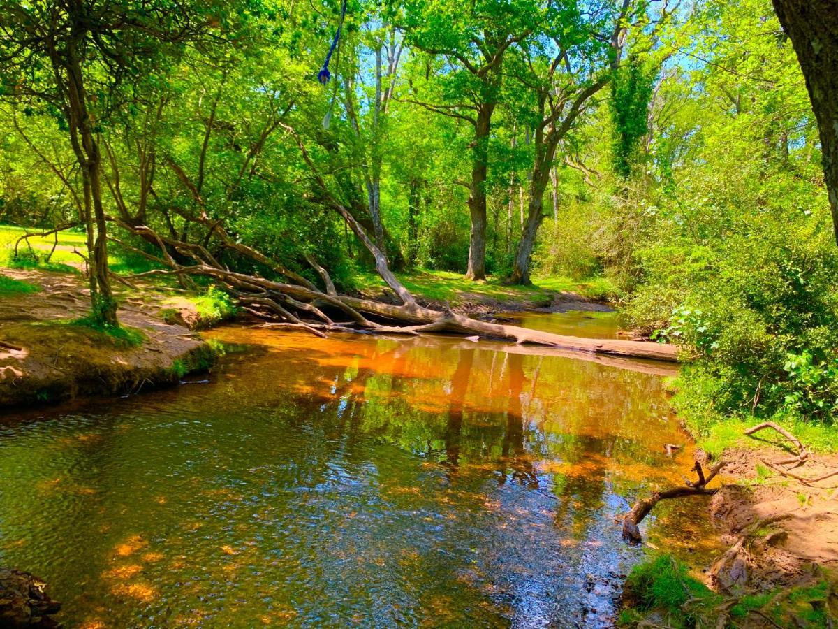 Forest Haven Sway ภายนอก รูปภาพ