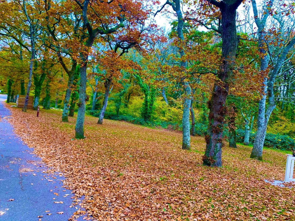 Forest Haven Sway ภายนอก รูปภาพ