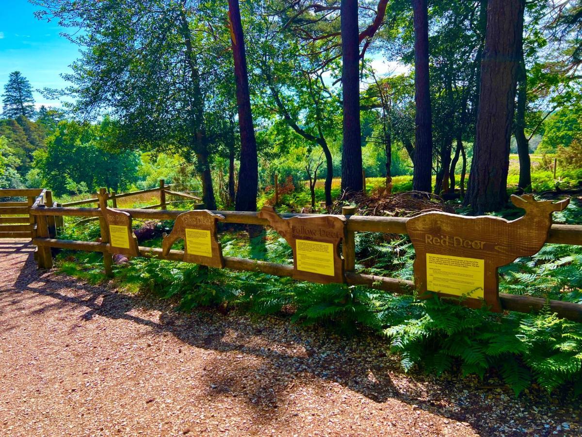 Forest Haven Sway ภายนอก รูปภาพ